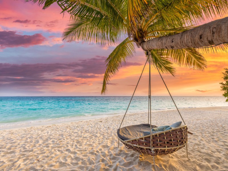 chair hanging from a palm tree at sunset on a beach